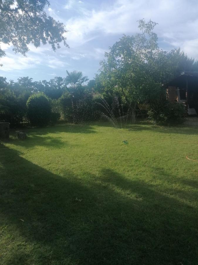 Apartment Villa Angelina, 70M From The Beach, Free Parking Novigrad Istria Esterno foto
