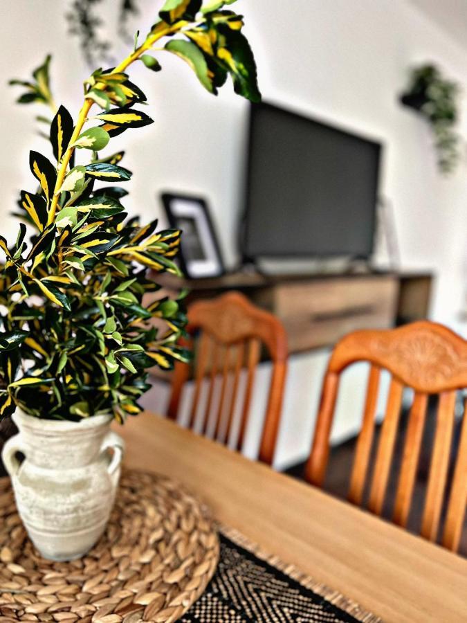 Apartment Villa Angelina, 70M From The Beach, Free Parking Novigrad Istria Esterno foto