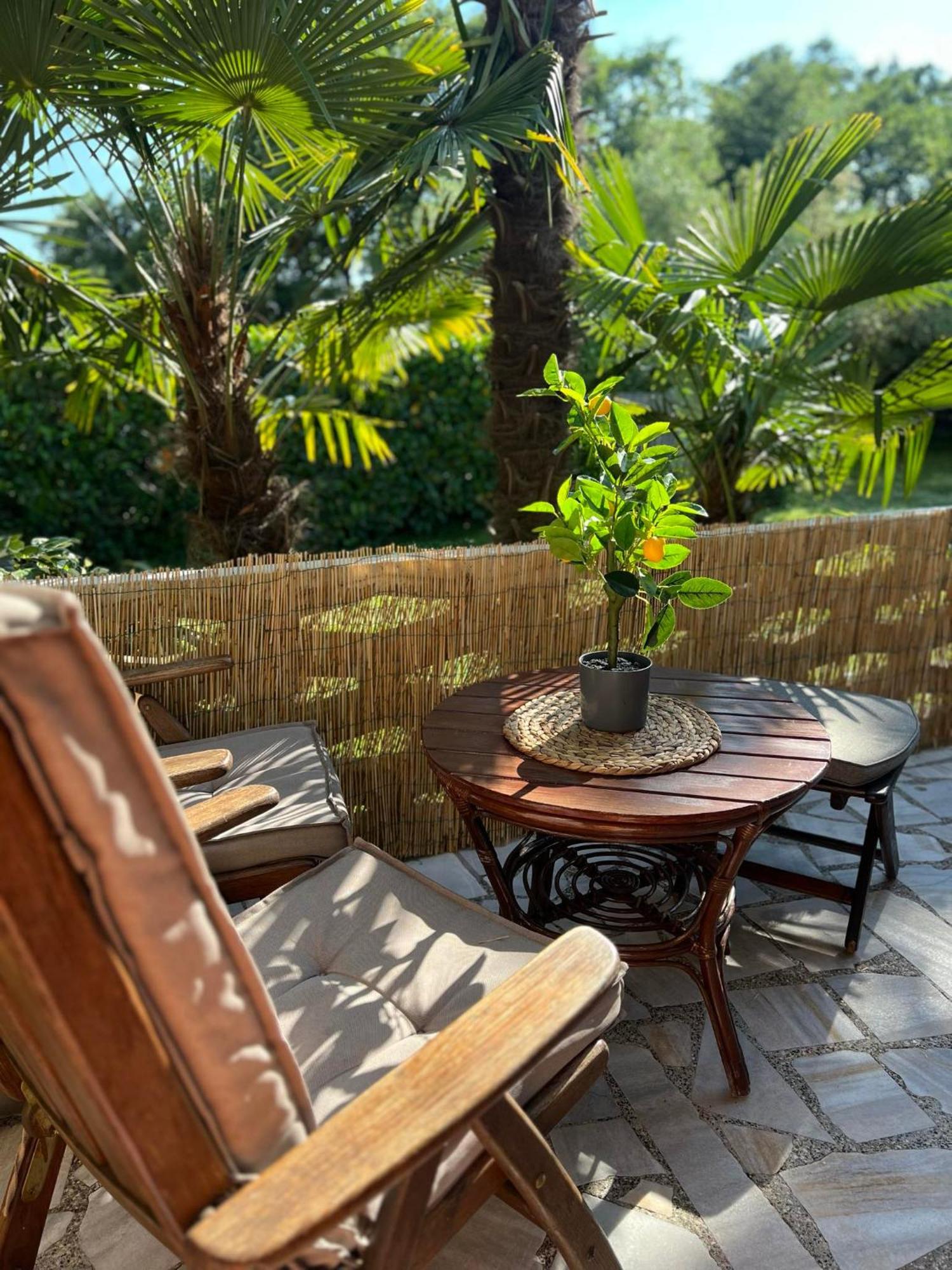 Apartment Villa Angelina, 70M From The Beach, Free Parking Novigrad Istria Esterno foto